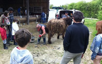 portes ouvertes animations